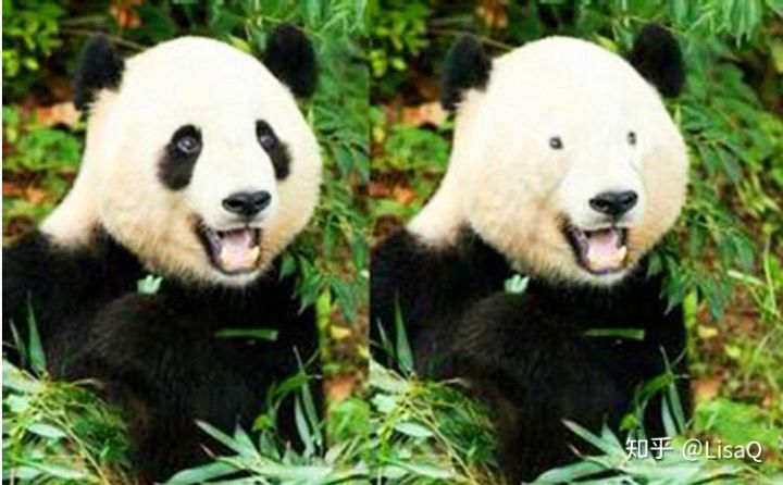 眼霜为什么都比较贵,眼霜有必要买贵的