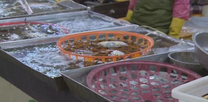 心痛的感觉!八种海鲜暂别啦