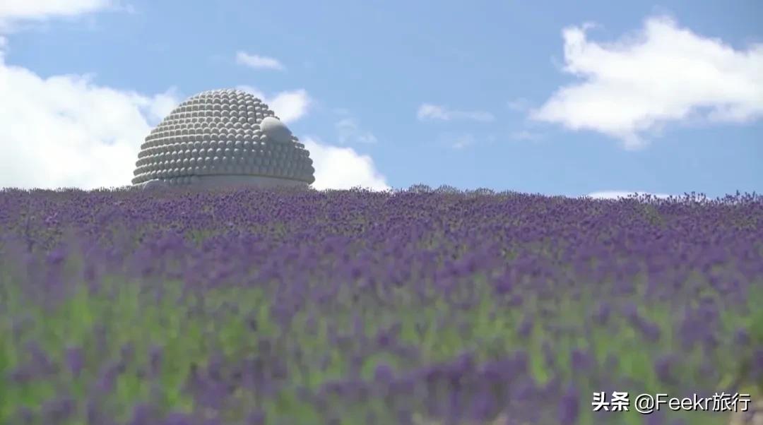 上海安藤忠雄水之教堂,去不了日本就去鼋头渚看樱花