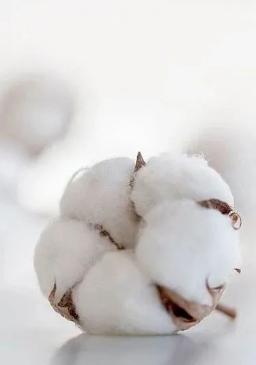 23种面料知识服装人必看,必须要懂的服装面料知识