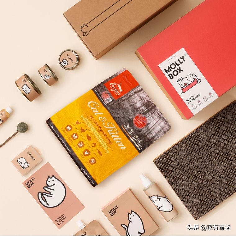 猫粮为何叫毒粮,猫粮和米饭哪个安全