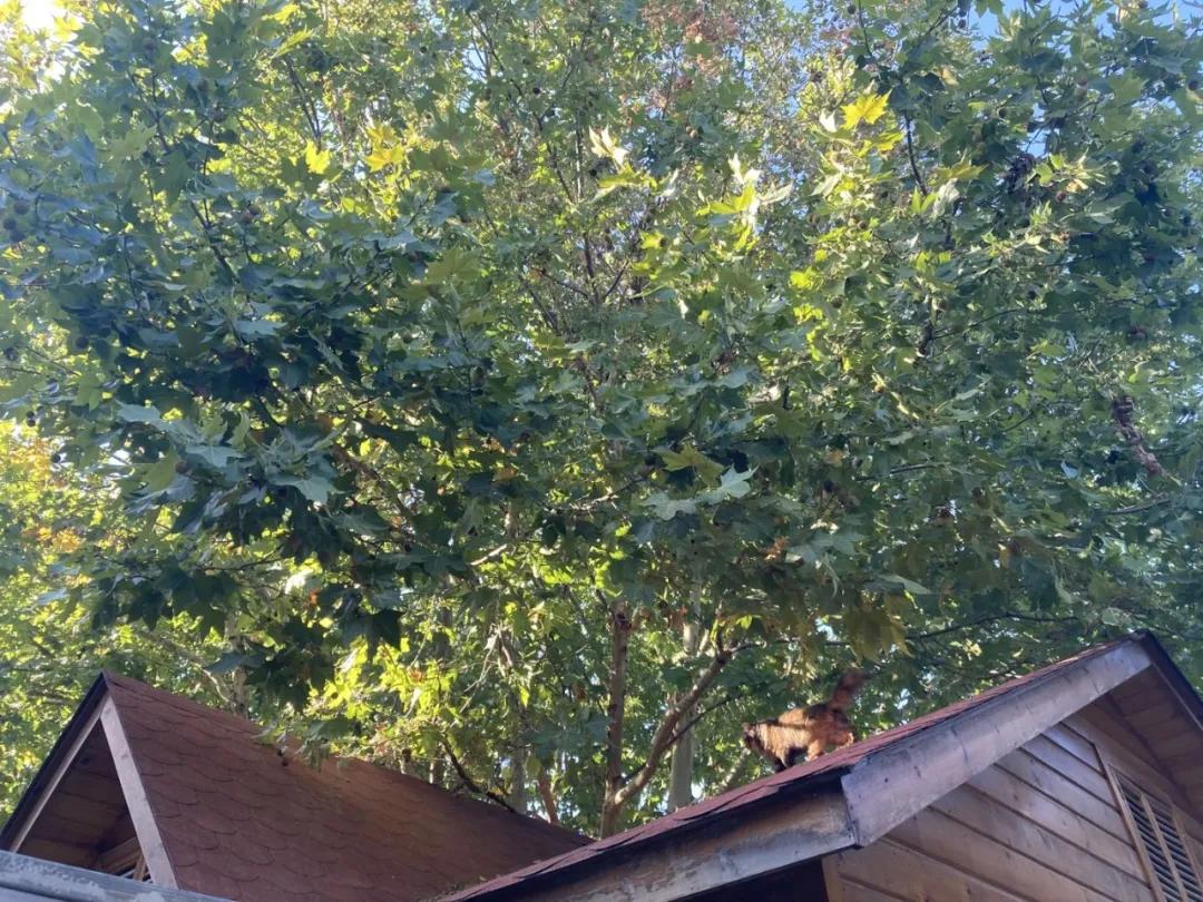 浣犺兘鐚滃嚭璋佺畻鎴戣緭,浣犵寽寰楀嚭鏉ョ畻鎴戣緭