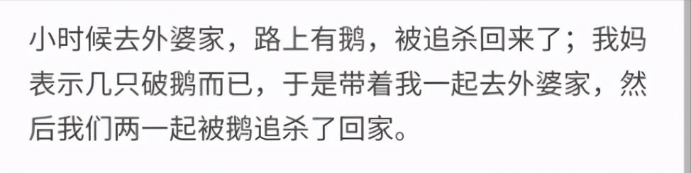 老虎幼崽追大鹅被反杀逃进笼,大鹅大战老虎老虎被吓瘫软