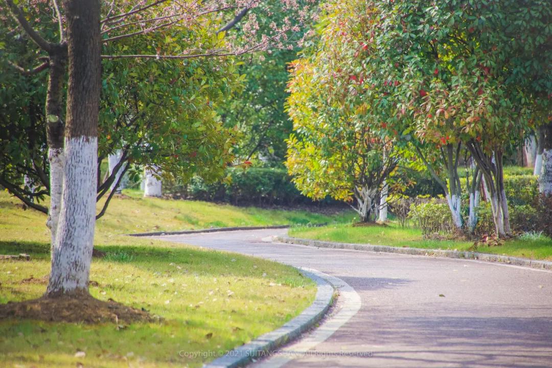 新潮流皮划艇,南京皮划艇上新玩法