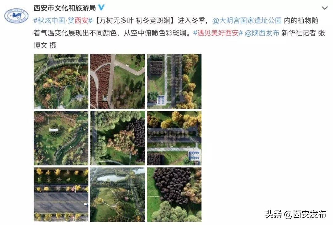 话题阅读量最多,话题阅读量破50