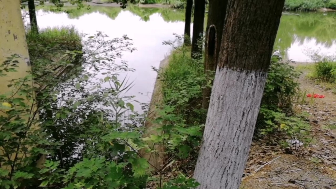 天气转凉大河野钓,天气炎热钓浅滩