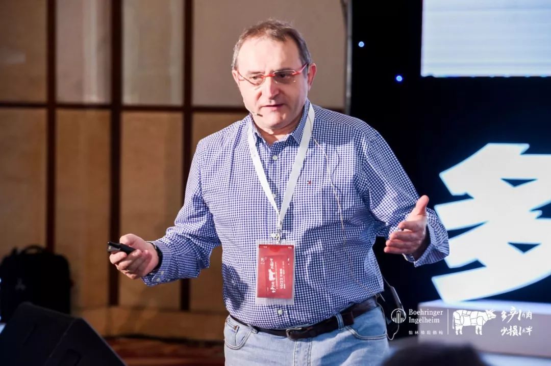 这一次，风口上站的是肉牛