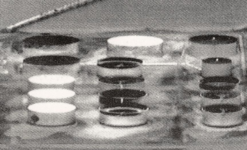 红外热成像技术抓拍,红外热成像技术哪个国家最好