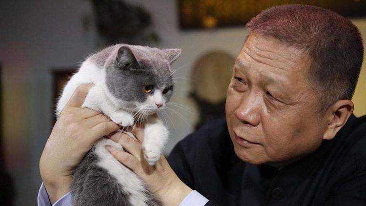 最值得买的猫爪杯,抢购猫爪杯其实可以优雅些