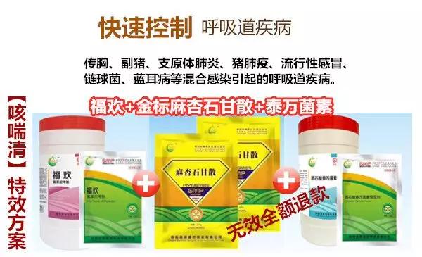 育肥猪咳嗽最佳治疗方法,猪咳嗽应激怎么办