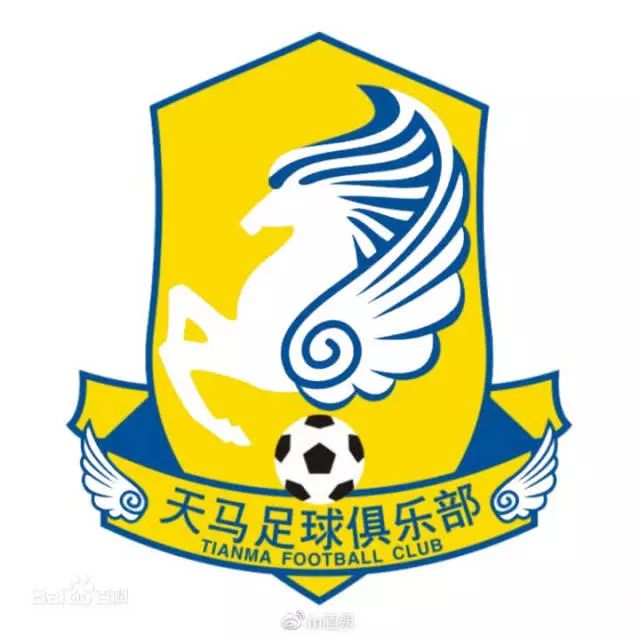 辉煌年代实况足球,足球在历史上最辉煌的时刻