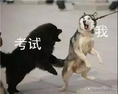 留学生的孤独等级大测评,留学生异国恋的心酸