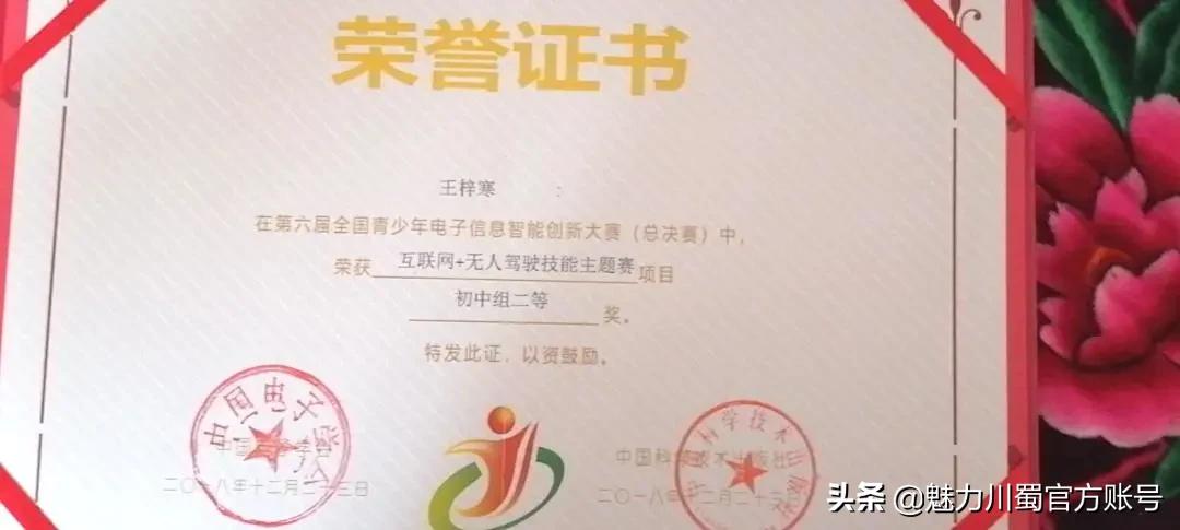 绵阳育才中学和英才中学哪个好,绵阳中学英才学校高中简介