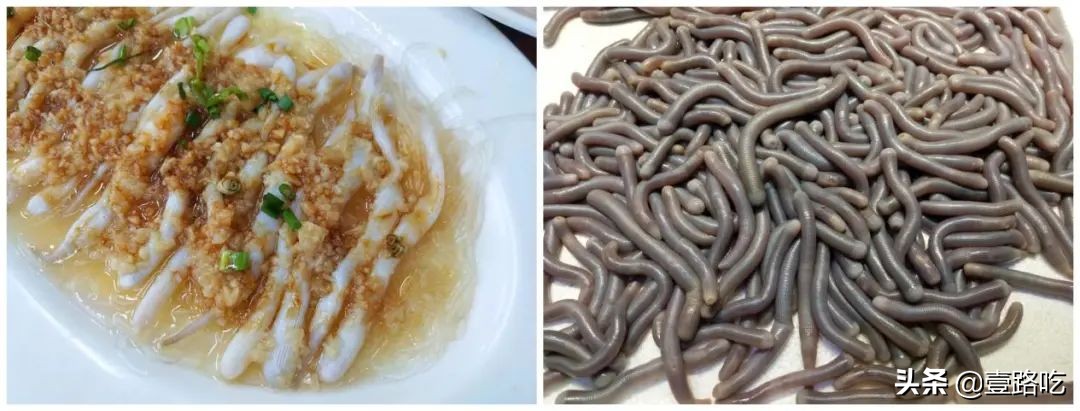 北海|报告！没遇到传销组织，只有吃不尽的海鲜美食