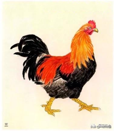 鸡的写意画法,小写意鸡的画法大全