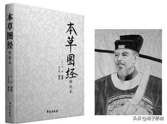 坏血病防治,坏血病治疗方法谁发现的