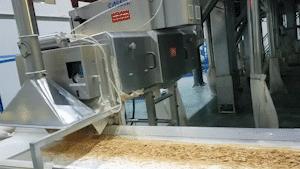 冲寒已觉东风暖什么意思,邯郸市最新复工时间表