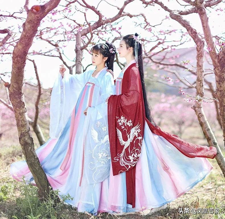 官宣鸾鸟计划和玄女计划,官宣凤凰