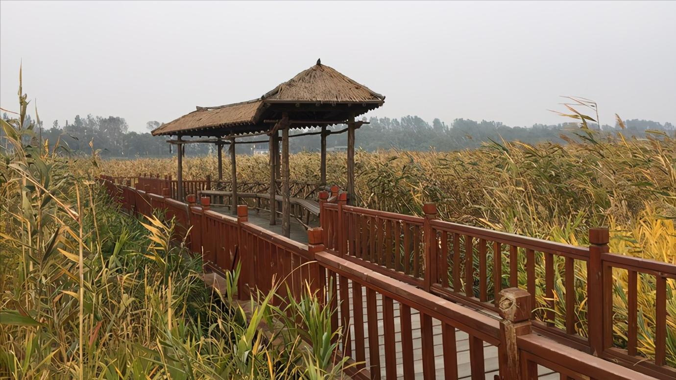 辽宁省盘锦市有什么区,浅谈全国各省份