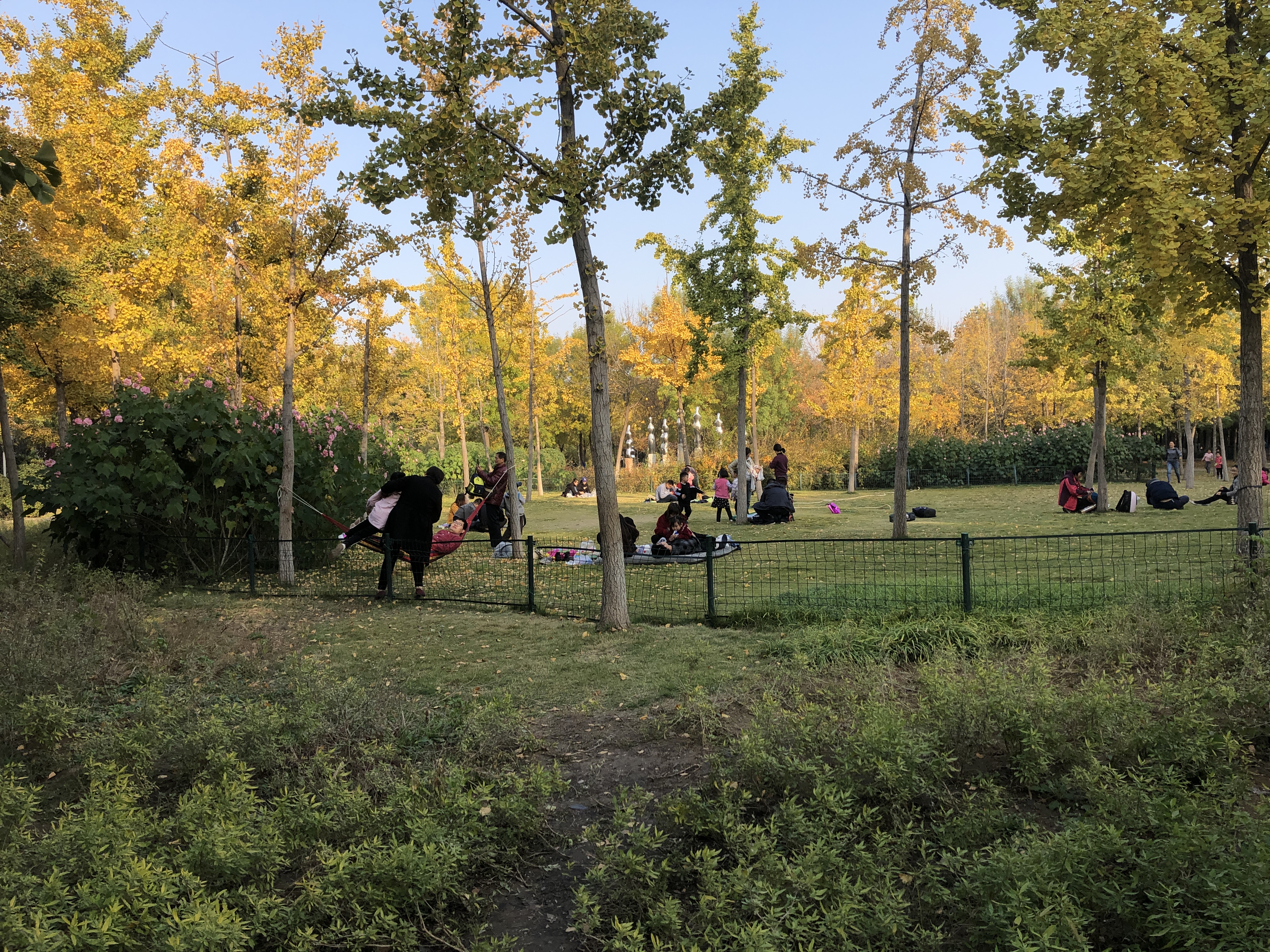 雨后的济南森林公园美景让人陶醉,济南森林公园美成“童话”