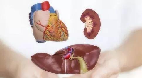 乙肝是能治好的吗,乙肝有没有痊愈的可能