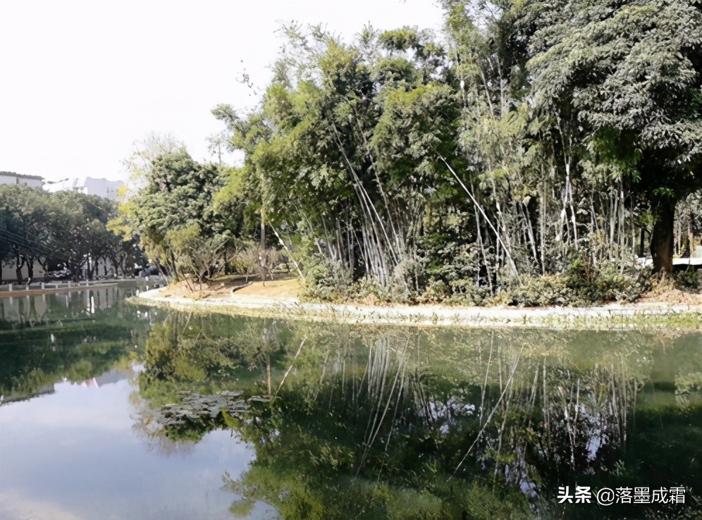 广西大学有哪些标志性的景色,走进广西美景