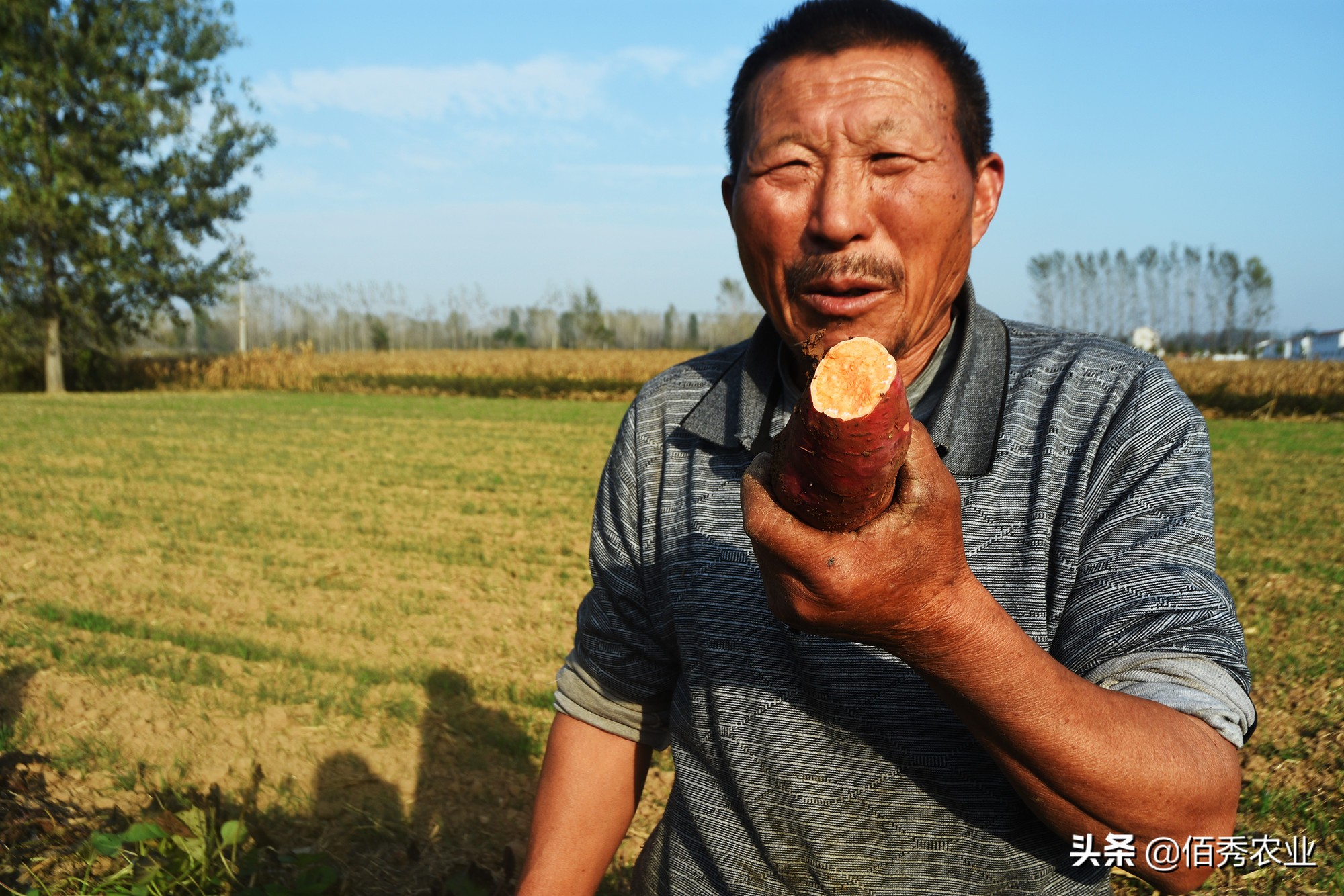 女记者辞职,记者辞职卖地瓜年入一亿引争议