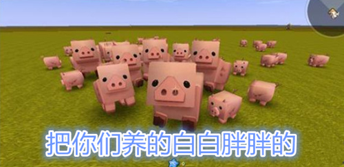 迷你世界一到100天的正确生存方法,迷你世界萌新问的最多的五个问题