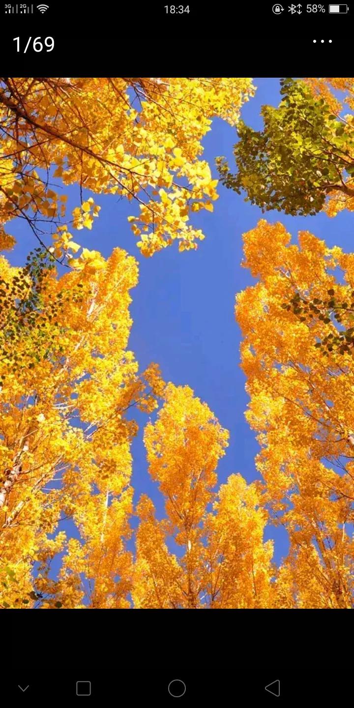 好想对你说一句我想你了,好想跟你说心事