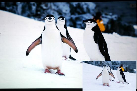 沉浸式体验全息投影震撼,明基i707和th685如何选择