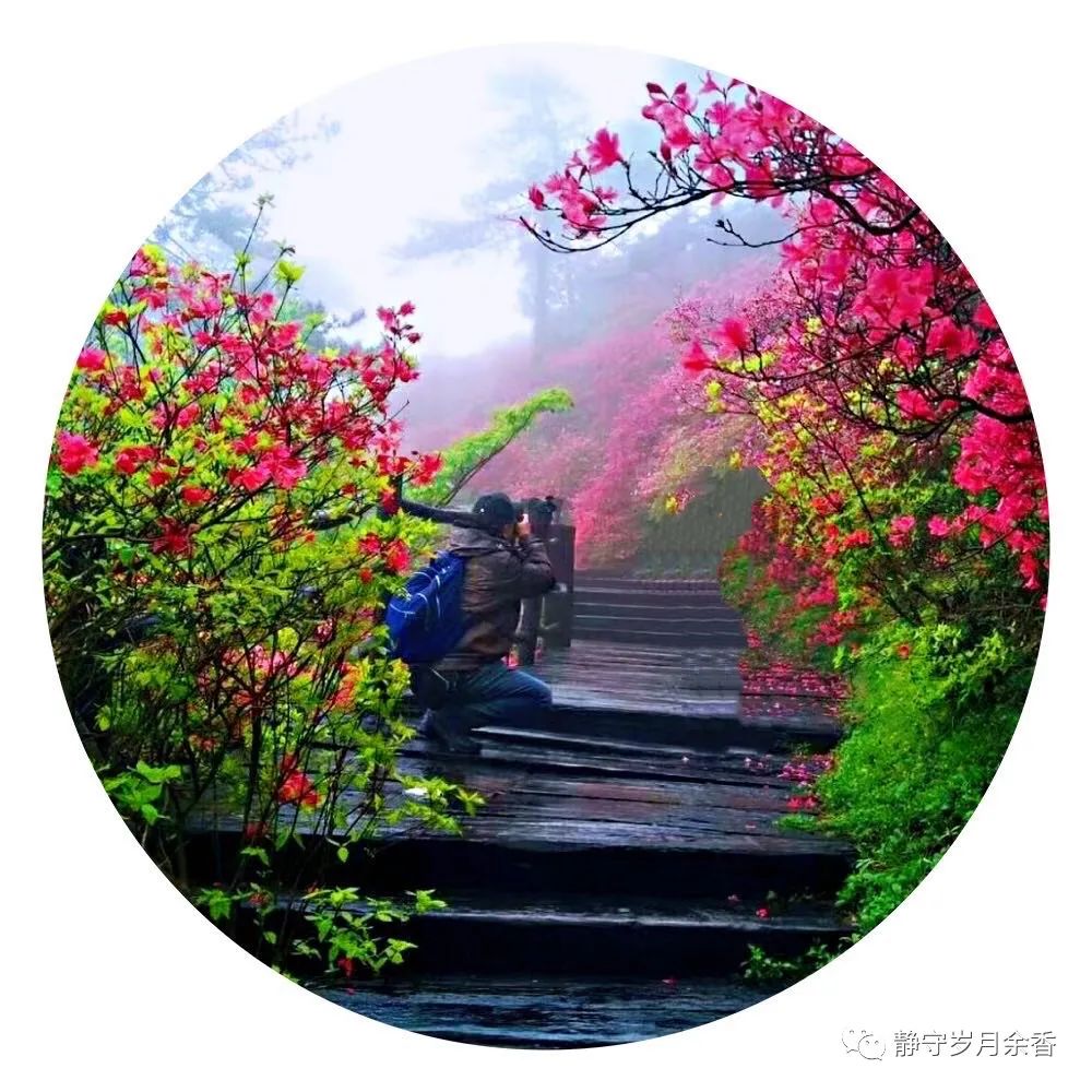 情满龟峰·诗涌花海