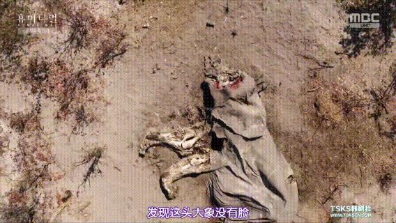 富二代晒骨皮包的残忍真相,富二代晒人骨皮包的残忍真相