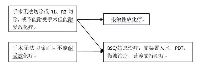 食管癌诊疗规范（2018年版）