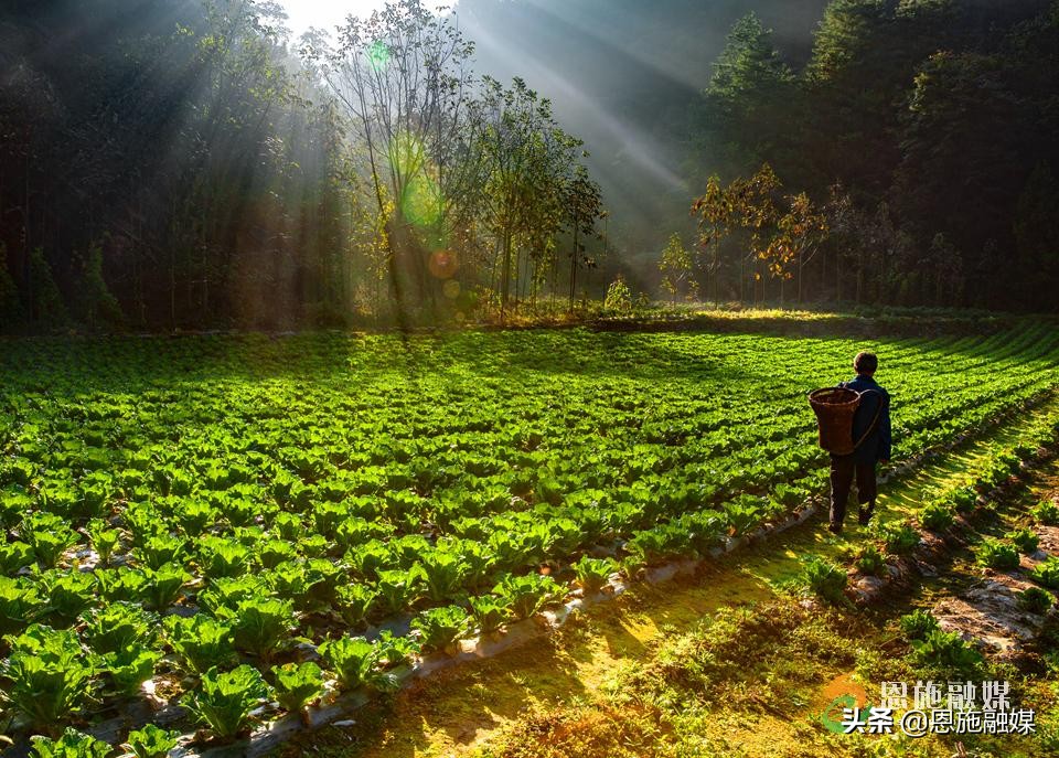李伦英：用镜头记录家乡的美丽