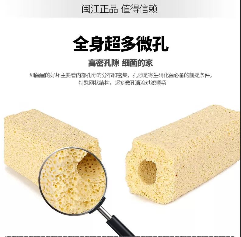 最经典的养鱼模式,养鱼大全100种