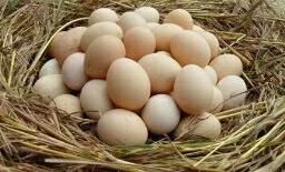 长沙周边农家乐一日游推荐第一名,长沙农家乐好玩的地方推荐一日游