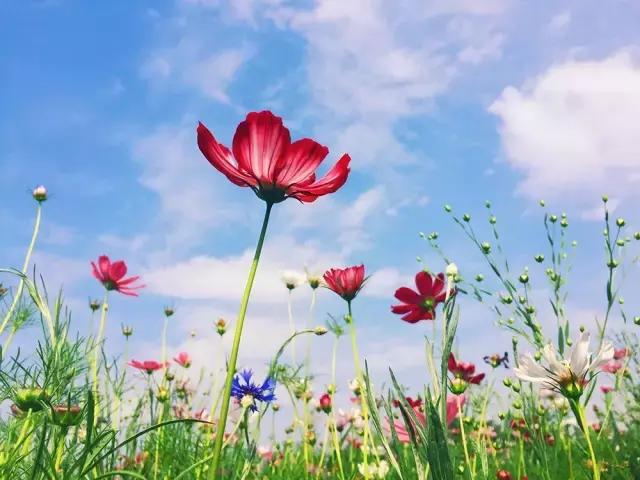 手机拍照教程零基础学摄影,手机摄影零基础怎么入门