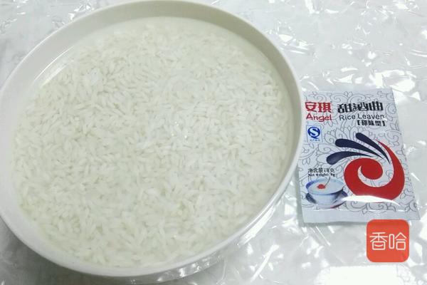 别再花钱买甜酒了自己做也很容易,手把手教你酿制米酒