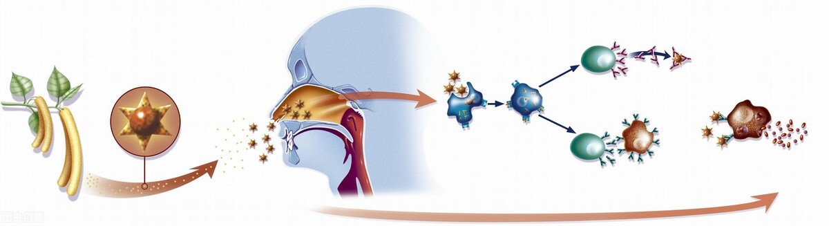 春季皮肤过敏发红发痒刺痛,换季皮肤过敏刺痛怎么办