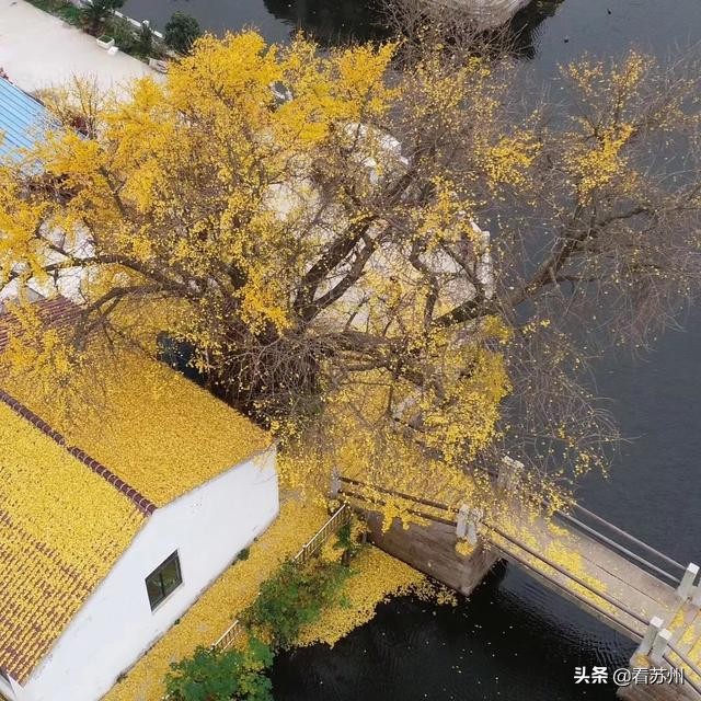 一入秋苏州怎就美成了姑苏,一入秋南京就成了金陵