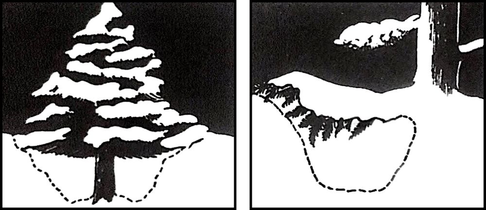 硬核保命指南,豆瓣评分6.7的书该不该看