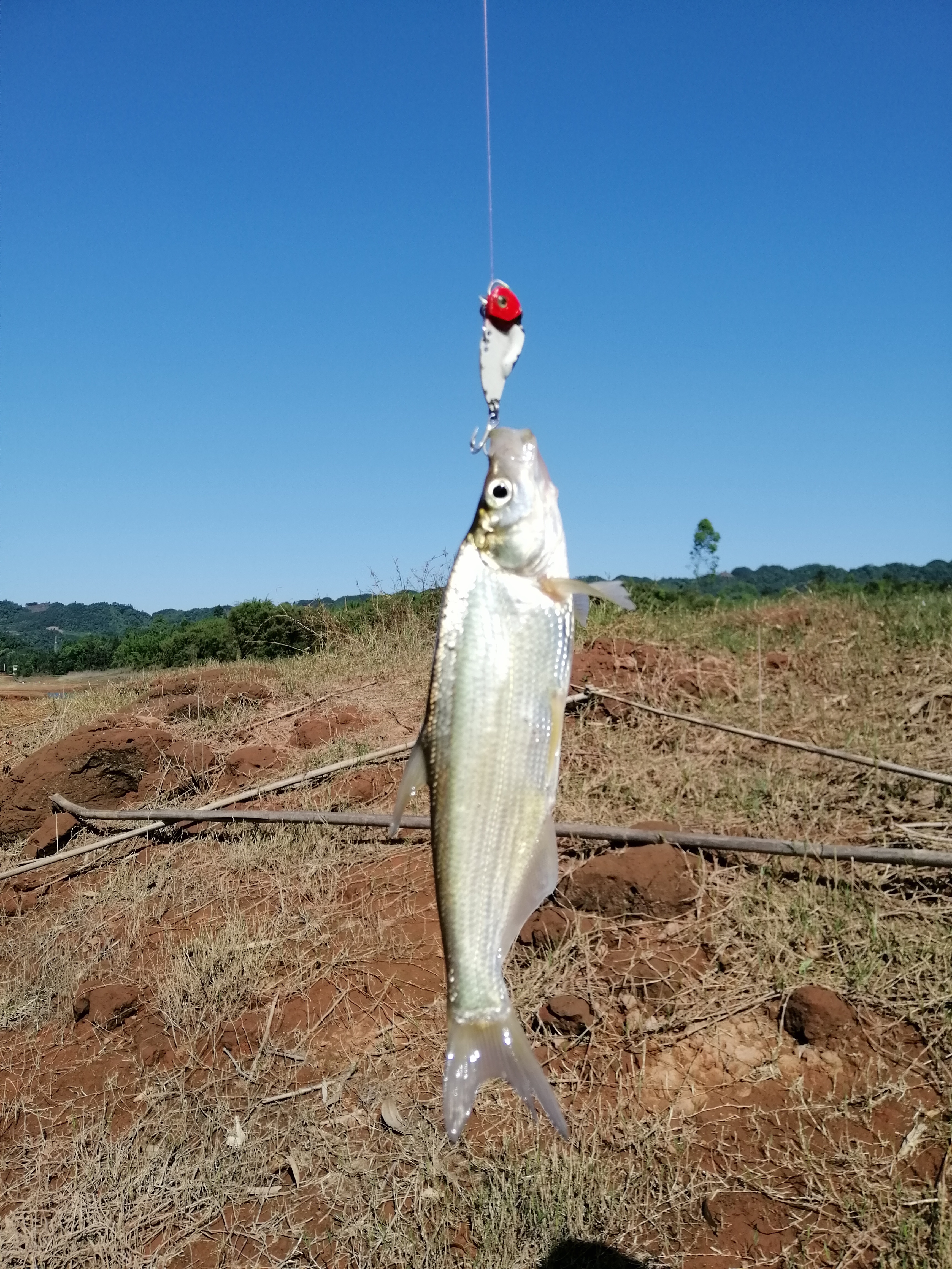 探钓深山水库,总岗山水库钓位