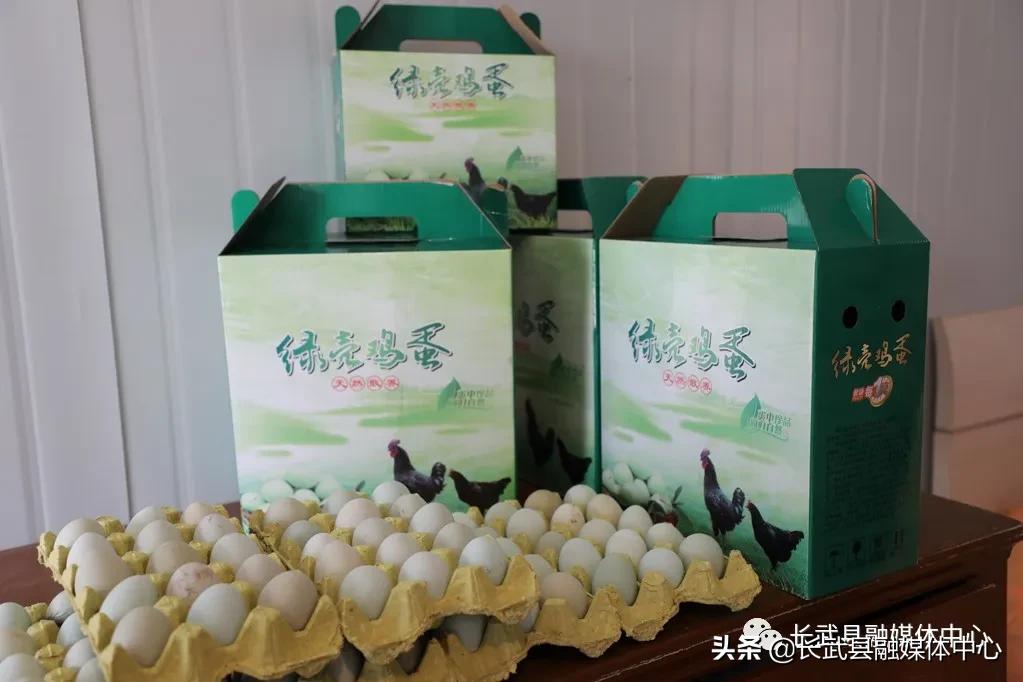 致富经|长武绿皮鸡蛋成为群众脱贫致富的“金蛋蛋”