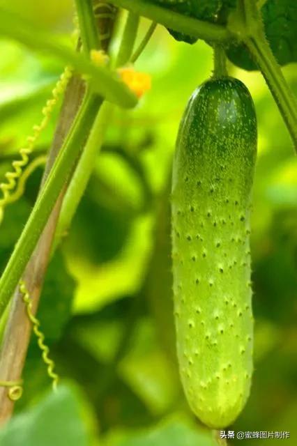 护眼精美壁纸图片大全,各种精彩护眼纯色壁纸大屏