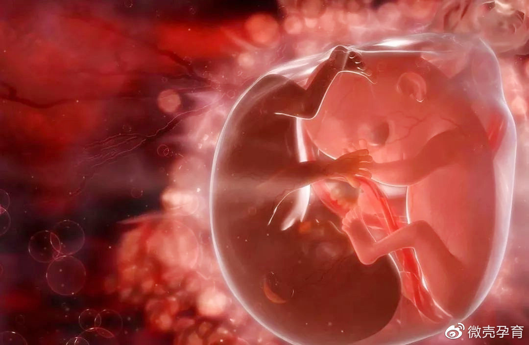 分娩日记迎接新生命,分娩日记幸福的泪水