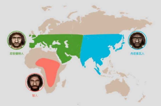 远古时期人类遗骸,丹尼索瓦人化石证明