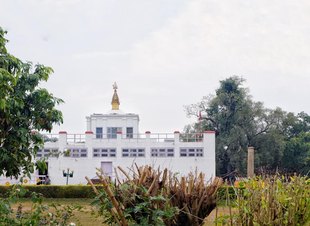 坐公交出国,坐公交可以环游中国么