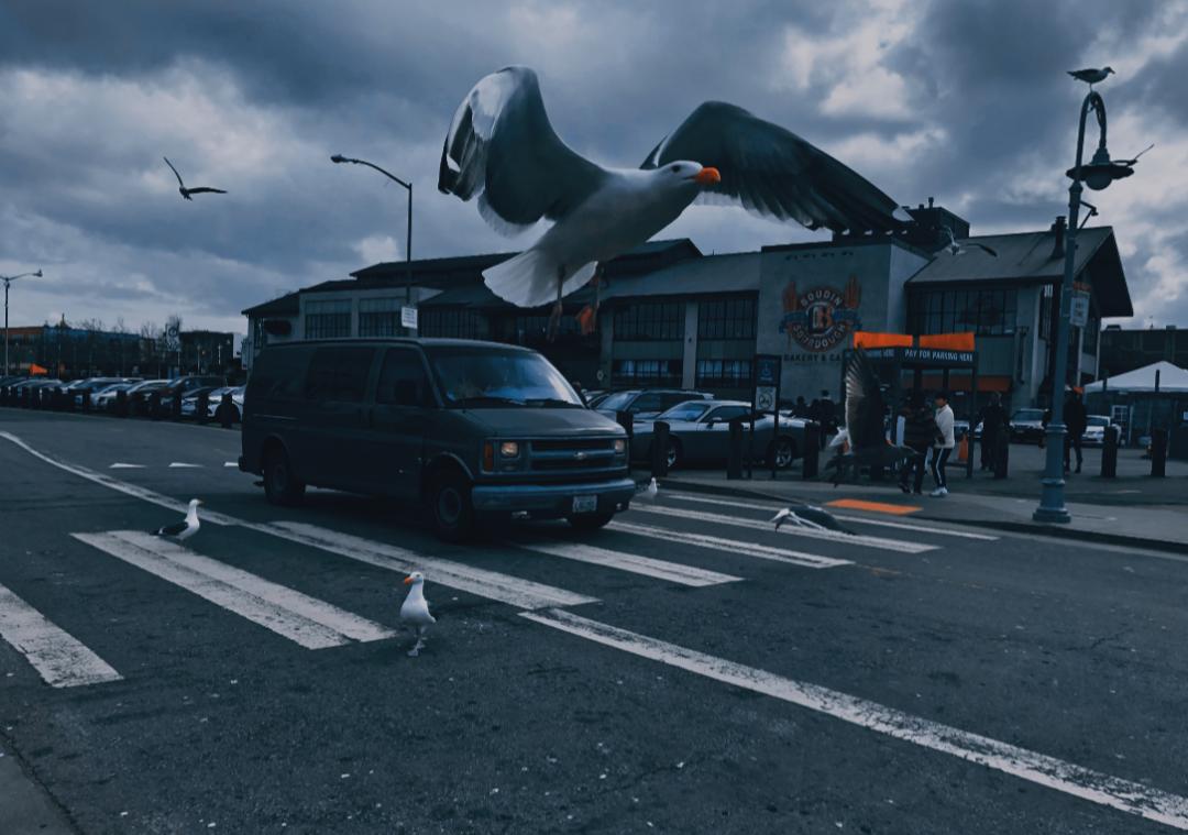 ins风暗黑图片,ins暗黑风格照