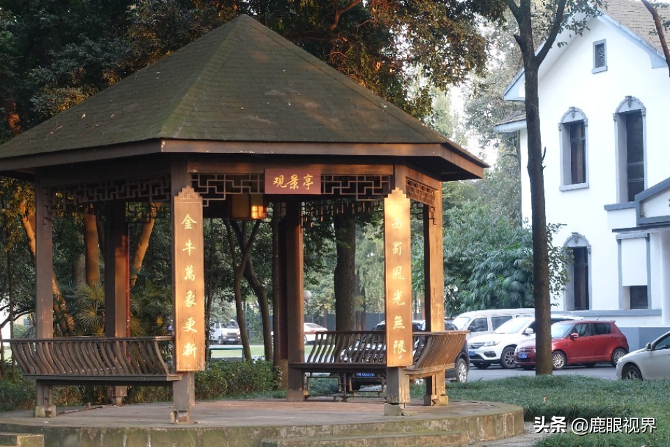 ［鹿眼视界·我的随拍］之346金牛宾馆，牛