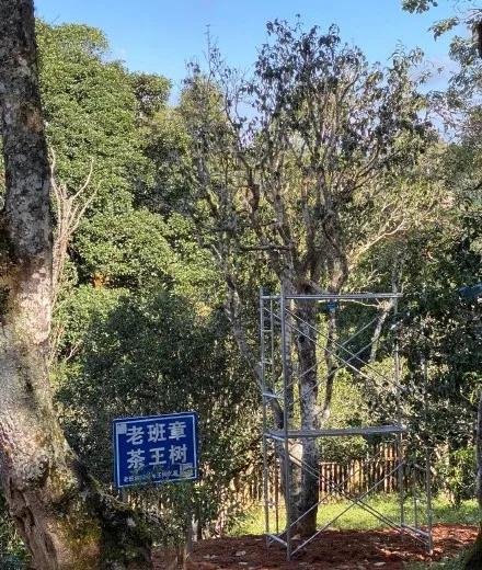 盘点买茶的套路,买茶的那些套路